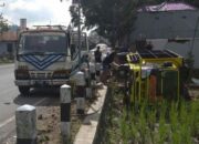 Engkel Bermuatan Jagung Oleng, Lalu Terbaring di Sawah