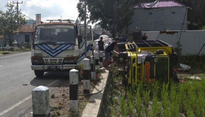 Engkel Bermuatan Jagung Oleng, Lalu Terbaring di Sawah