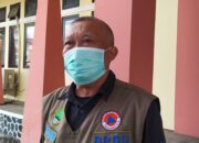 Akibat Angin Barat, Permintaan Penebangan Pohon Meningkat
