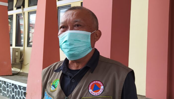 Akibat Angin Barat, Permintaan Penebangan Pohon Meningkat
