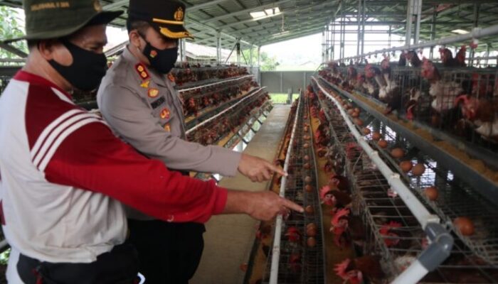 Kapolres Tasikmalaya Kunjungi Kampung Tangguh