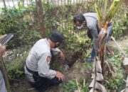 Warga Siluman Temukan Dua Granat Nanas Aktif Saat Bersihkan Rumput