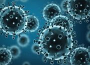 Usai Berwisata ke Gunung Papandayan, Grup Senam Sehat Ibu Ibu di Puspahiang Terpapar Covid-19 