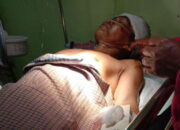 Babi Hutan Seruduk Momo, Warga Banyuasih Taraju