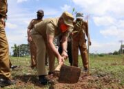 Wabup Erwan Tanam Pohon di Kaki Gunung Manglayang