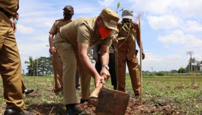 Wabup Erwan Tanam Pohon di Kaki Gunung Manglayang