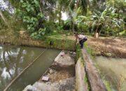 Ibu Hamil 8 Bulan Ditemukan Tak Bernyawa di Kolam Ikan