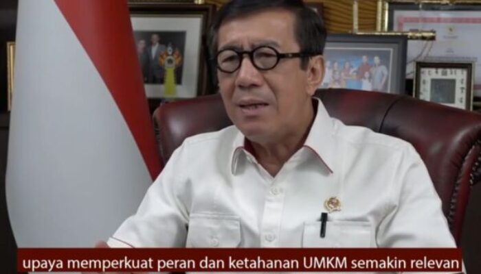 HKI Sedunia, Pemerintah Dukung 65,4 juta UMKM, Tingkatkan Daya Saing di Pasar Global