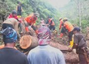 Evakuasi Longsoran Cisarua, BPBD Masih Cari Alternatif Terbaik