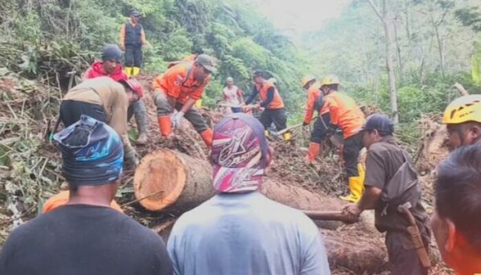 Evakuasi Longsoran Cisarua, BPBD Masih Cari Alternatif Terbaik