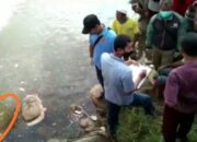 Hilang Sejak Sahur, Kakek Warga Salawu Terapung di Bendungan Leuwirakitan