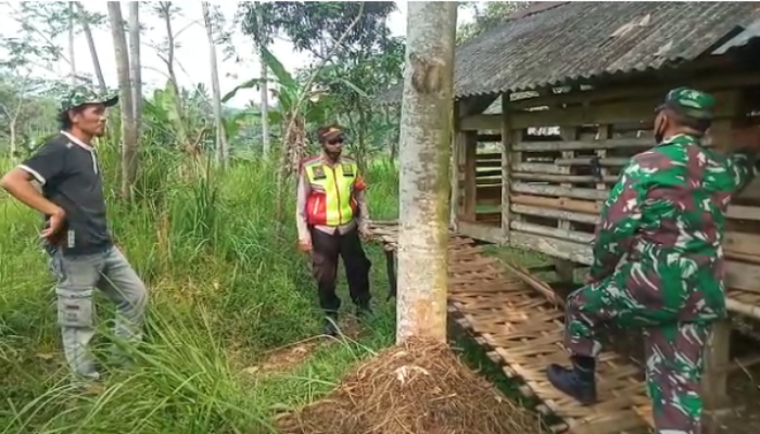 Sembilan Ekor Domba Raib dari Bojongasih