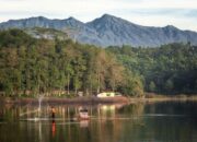 Kisah Cinta Segitiga, Masyarakat, Pemerintah Kota juga Provinsinya