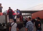 BNNP Jabar Gagalkan Penyelundupan Ganja 220 Kg