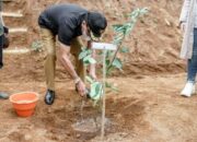 Desa Sukawening Ciamis Perkuat Ketahanan Pangan Menanam Lemon