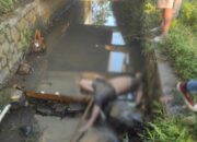 Di Salawu, Sesosok Mayat Tergeletak di Saluran Irigasi