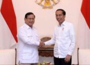 Jokowi-Prabowo Menang Pilpres 2024, Menyelesaikan Masalah dengan Masalah