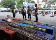 PPKM Darurat, 200 Burung Merpati Beserta Pemiliknya Diamankan Polisi