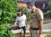 Madu Teuweul Lebah Trigona, Populer Khas Nagarawangi-Sumedang