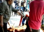Anak 7 Tahun Kurban Sapi di Tasik, Isi Celengan Setahun