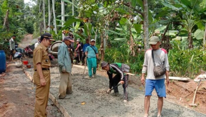 DD Desa Bojongkapol Dimanfaatkan Bangun Tiga Titik Jalan