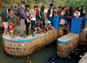 Mayat Kakek 79 Tahun Mengambang di Saluran Air