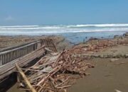 Gelombang Pasang Laut Cipatujah, Airnya Sampai Bibir Permukiman Warga