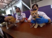 Hewan Peliharaan di Kota Tasik Mulai Ikut Vaksin