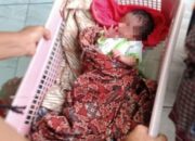 Bayi Mungil di Puskesmas Kalipucang, Siapa Mau Adopsi?