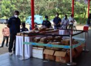 Ganja Dimusnahkan BNNK Bandung Barat