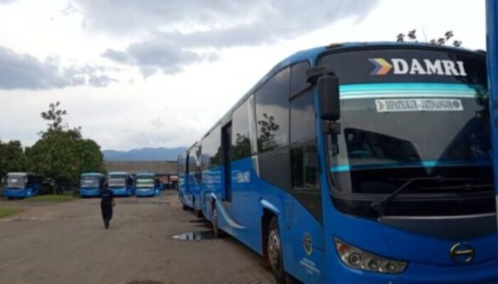 Damri Berhenti Beroperasi, Ombudsman Bereaksi