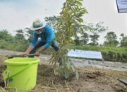 Penanaman 10 Juta Pohon di Jabar