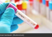 DBD Meningkat, Kenali Gejala dan Cara Menanganinya