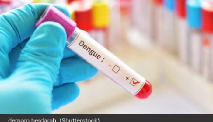 DBD Meningkat, Kenali Gejala dan Cara Menanganinya