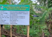 Apa Kata Pemkab Tasik Soal Dana Banprov Jabar yang Ditarik Kembali?