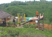 Bukit Teh Cisantana, Daerah Wisata Baru Desa Banyuasih