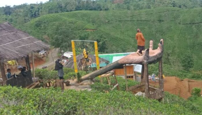 Bukit Teh Cisantana, Daerah Wisata Baru Desa Banyuasih