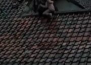 Viral Video Banjir, Warga Naik Atap Rumah, Bukan di Jatinangor