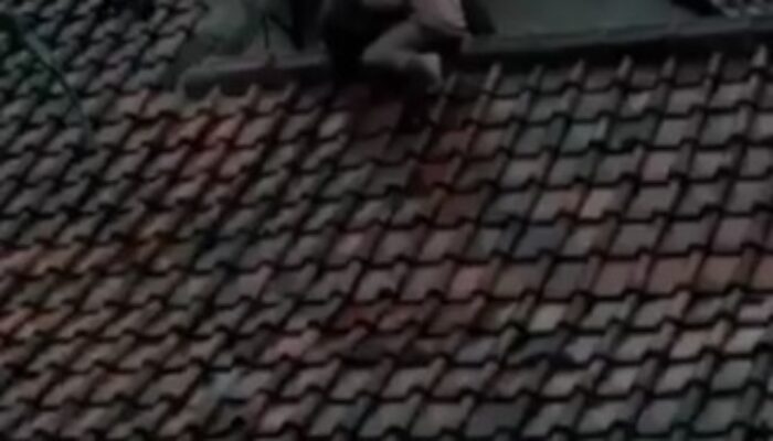 Viral Video Banjir, Warga Naik Atap Rumah, Bukan di Jatinangor