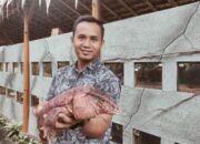 Ini Daya Tarik Kebun Binatang Mini di Pangandaran