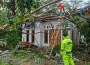 Atap Rumah Terbang di Singkup