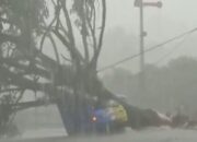 Pohon ‘Rungkad’ Timpa Mobil di Dekat Stasiun Indihiang