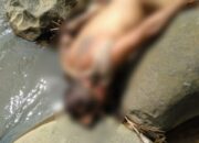 Warga Kampung Naga Tasik Geger, Temukan Jasad di Sungai Ciwulan