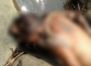 Mayat Pria di Sungai Ciwulan Ternyata Warga Cilawu Garut