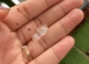 Hujan Es Terjang Kota Tasik, Pohon ‘Rungkad’