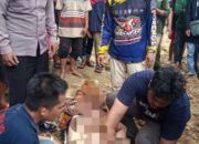 Pelajar Tewas Jatuh di Curug Ngebul