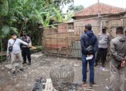 Polisi Datangi Tempat Judi Sabung Ayam di Cirebon