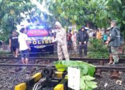 Terserempet Kereta Api di Rajapolah, Seorang Ibu Tewas