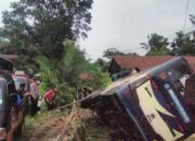 Kursi Supir Bergeser, Bus Merdeka Terguling di Gentong