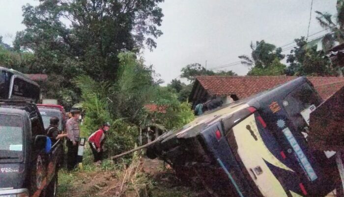 Kursi Supir Bergeser, Bus Merdeka Terguling di Gentong